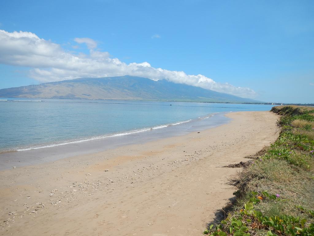Kauhale Makai Condo On The Beach Kihei Exterior photo